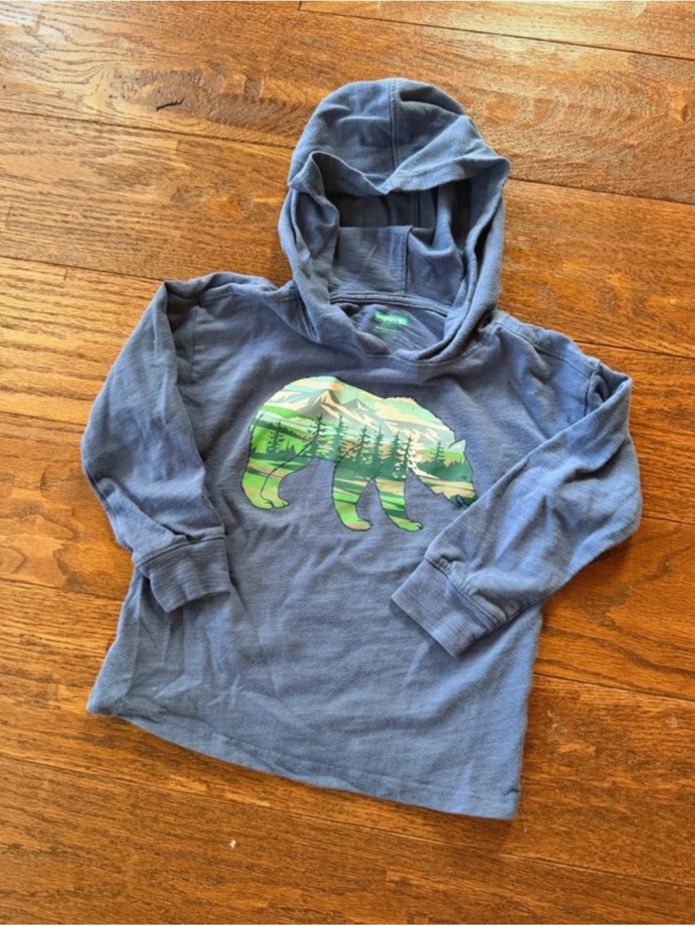 Garanimals Kids Hooded Bear Graphic Long-Sleeve Top - Blue